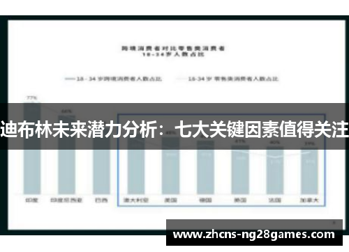 迪布林未来潜力分析：七大关键因素值得关注