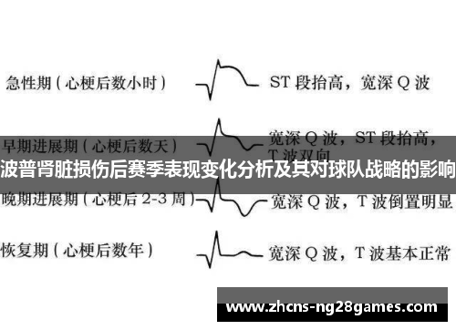 波普肾脏损伤后赛季表现变化分析及其对球队战略的影响