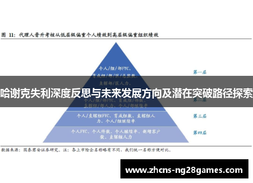 哈谢克失利深度反思与未来发展方向及潜在突破路径探索