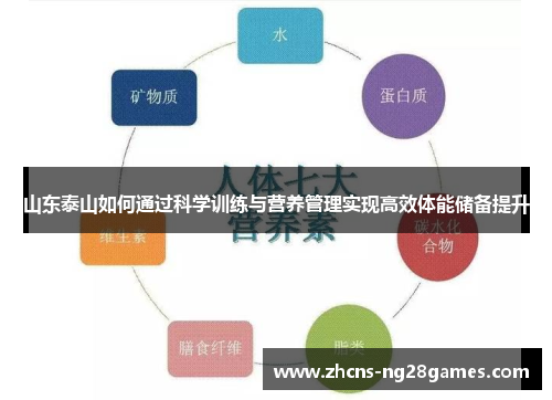 山东泰山如何通过科学训练与营养管理实现高效体能储备提升