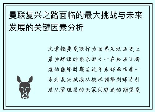 曼联复兴之路面临的最大挑战与未来发展的关键因素分析